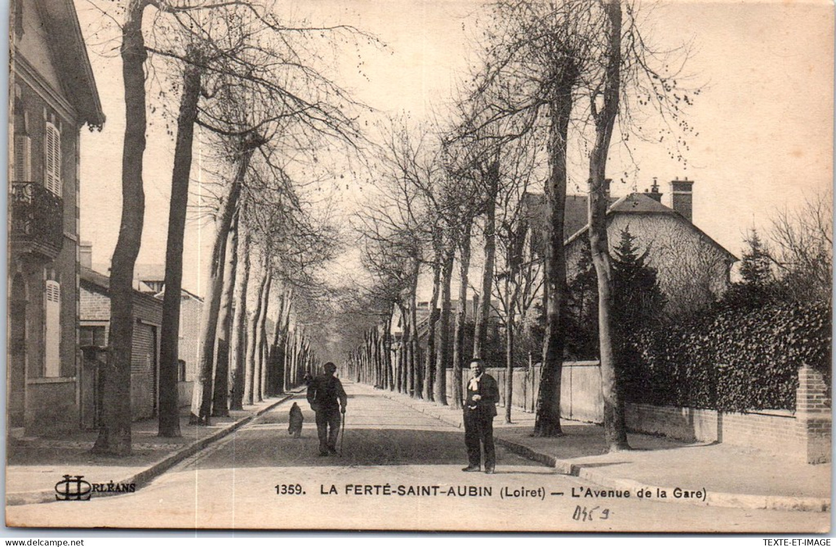 45 LA FERTE SAINT AUBIN - Perspective De L'avenue De La Gare --  - La Ferte Saint Aubin