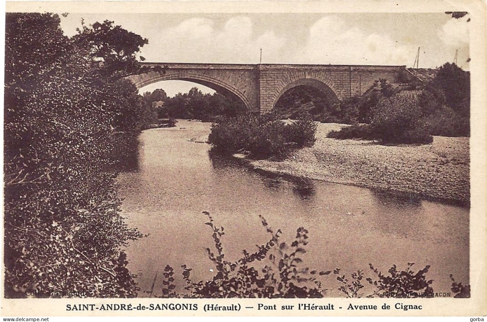 *CPA  - 34 - SAINT ANDRE DE SANGONIS - Pont Sur L'Hérault - Avenue De Cignac (Gignac) - Pas Courante - Autres & Non Classés