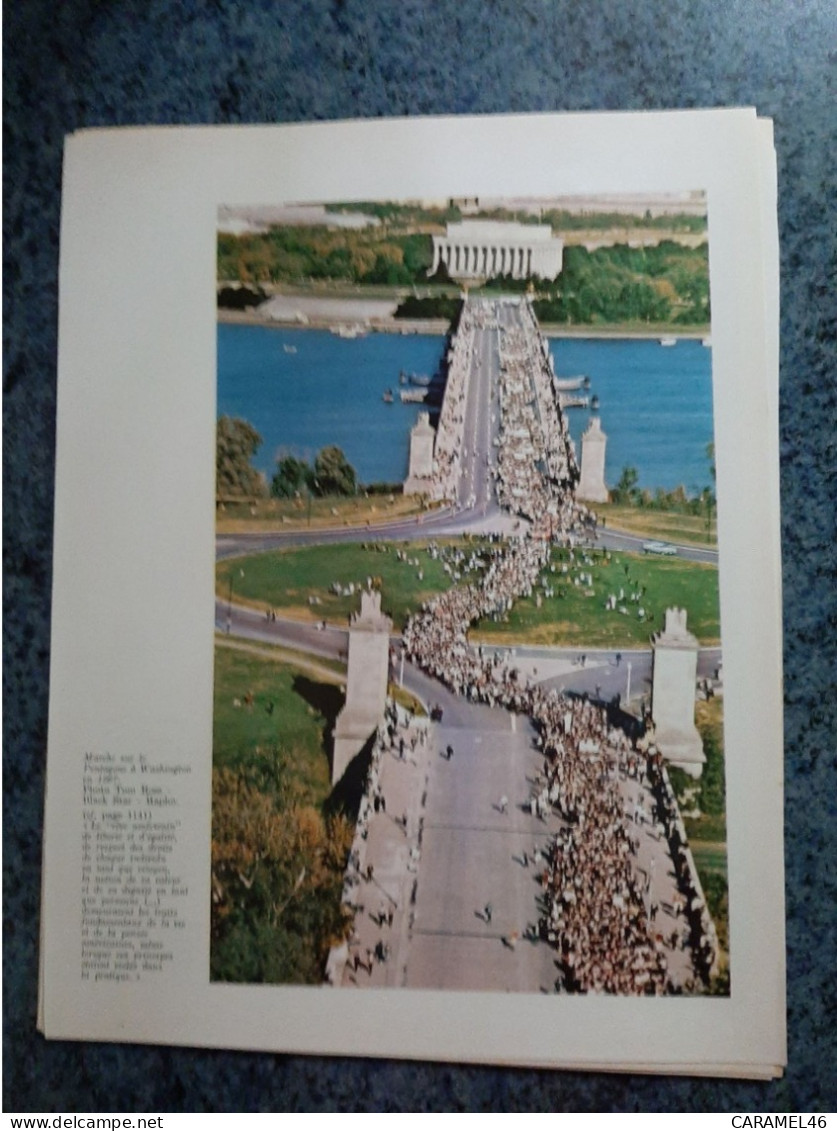 AFFICHE  -  PHOTOGRAPHIQUE  -  MARCHE SUR LE PENTAGONE  A WASHINGTON EN 1967 - Plakate