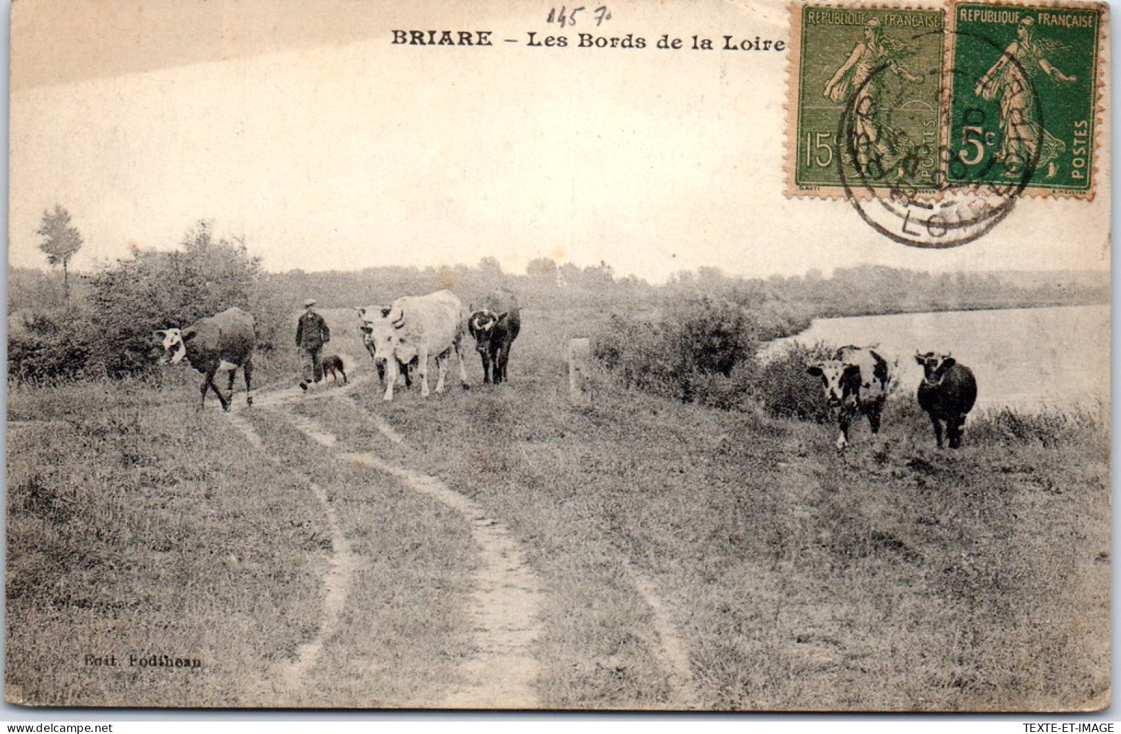 45 BRIARE - Les Bords De La Loire (vaches) - Briare