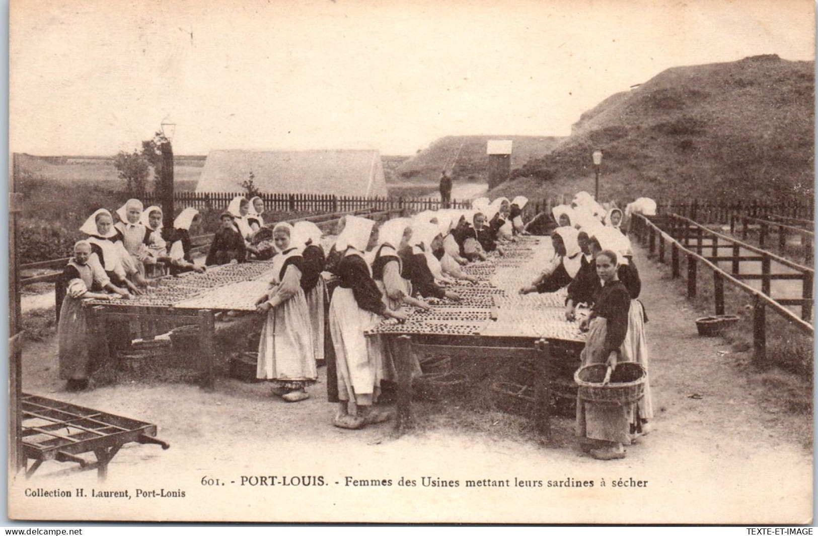 56 PORT LOUIS - Femme Mettant Les Sardines A Secher  - Port Louis