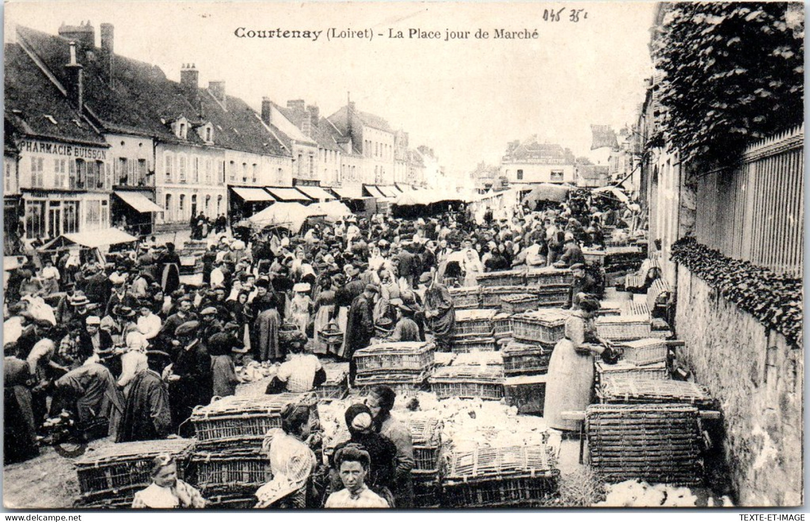 45 COURTENAY - La Place Jour De Marche  - Courtenay
