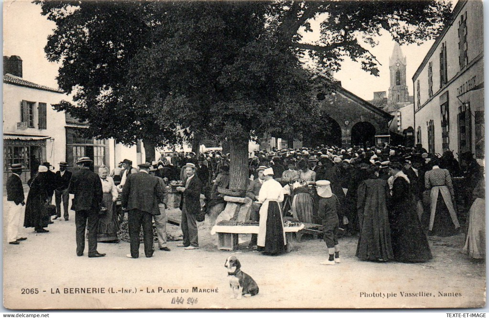 44 LA BERNERIE - La Place Du Marche  - Andere & Zonder Classificatie