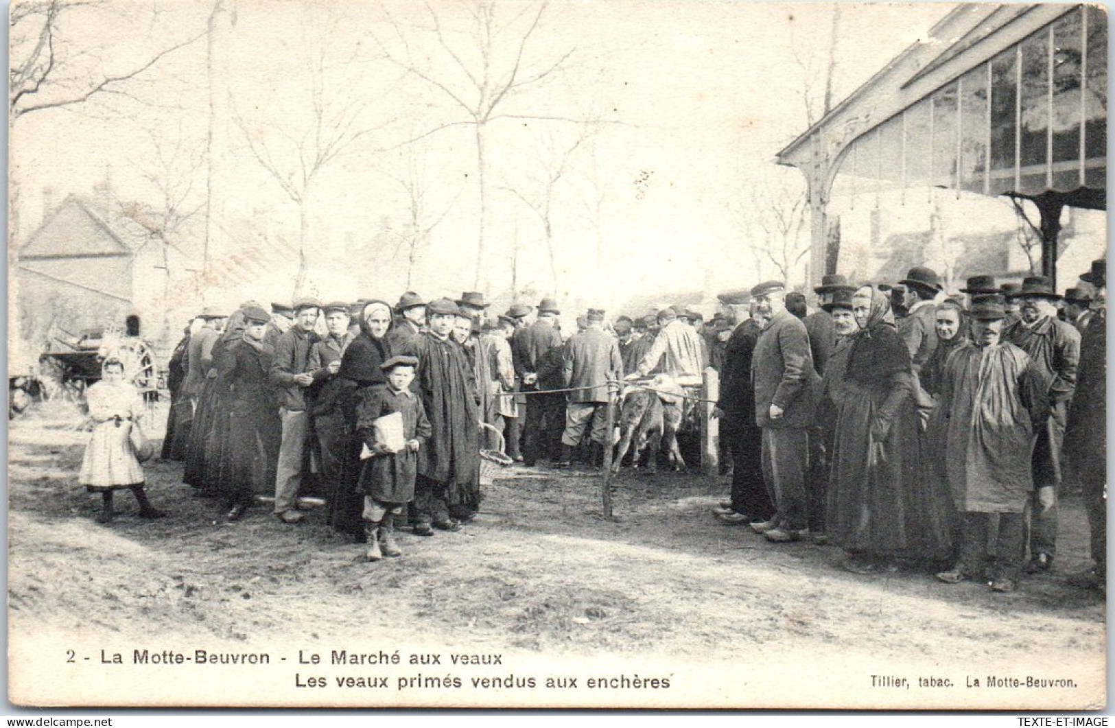 41 LA MOTTE BEUVRON - Le Marche Aux Veaux  - Lamotte Beuvron