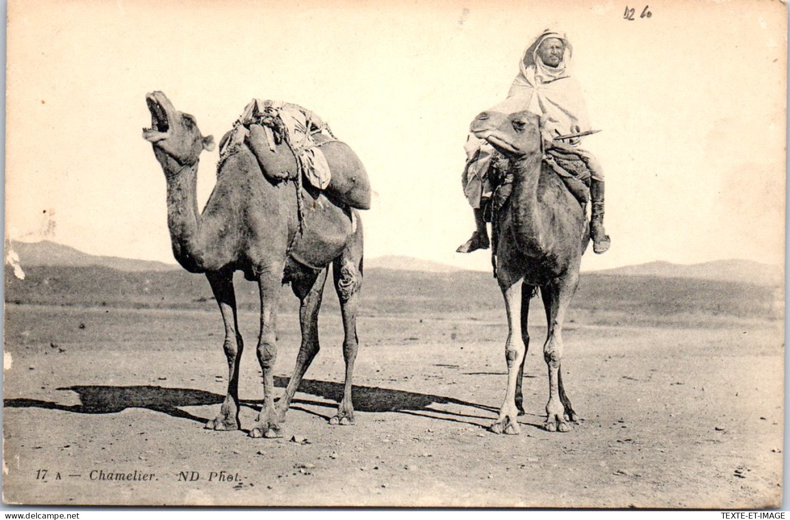 ALGERIE - Type De Chamelier Dans Le Desert  - Szenen