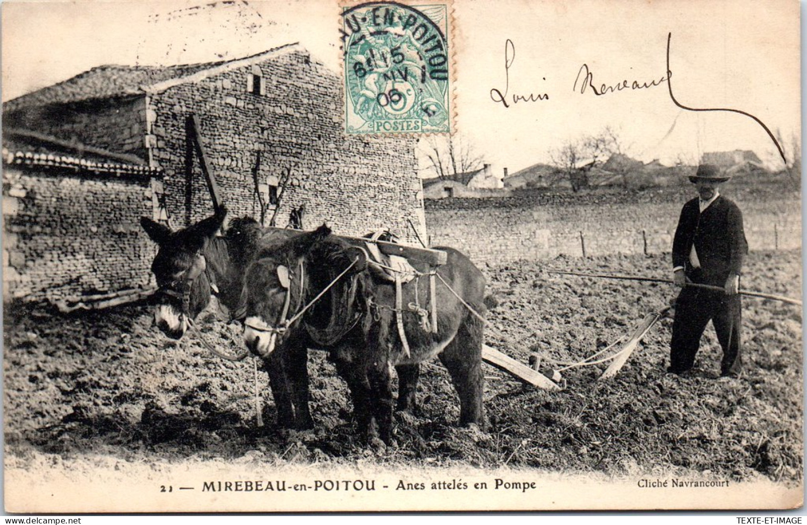 86 MIREBEAU EN POITOU - Anes Atteles En Pompe  - Mirebeau