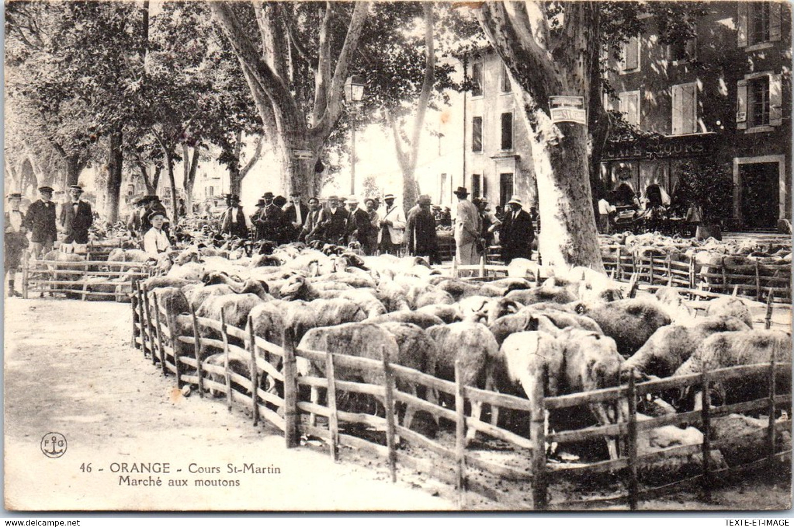 84 ORANGE - Cours Saint Martin, Marche Aux Moutons  - Orange