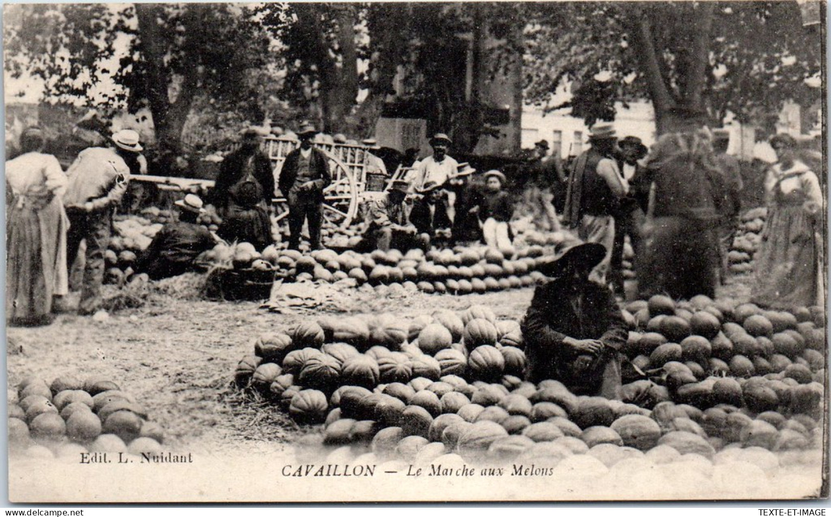 84 CAVAILLON - Le Marche Aux Melons  - Cavaillon