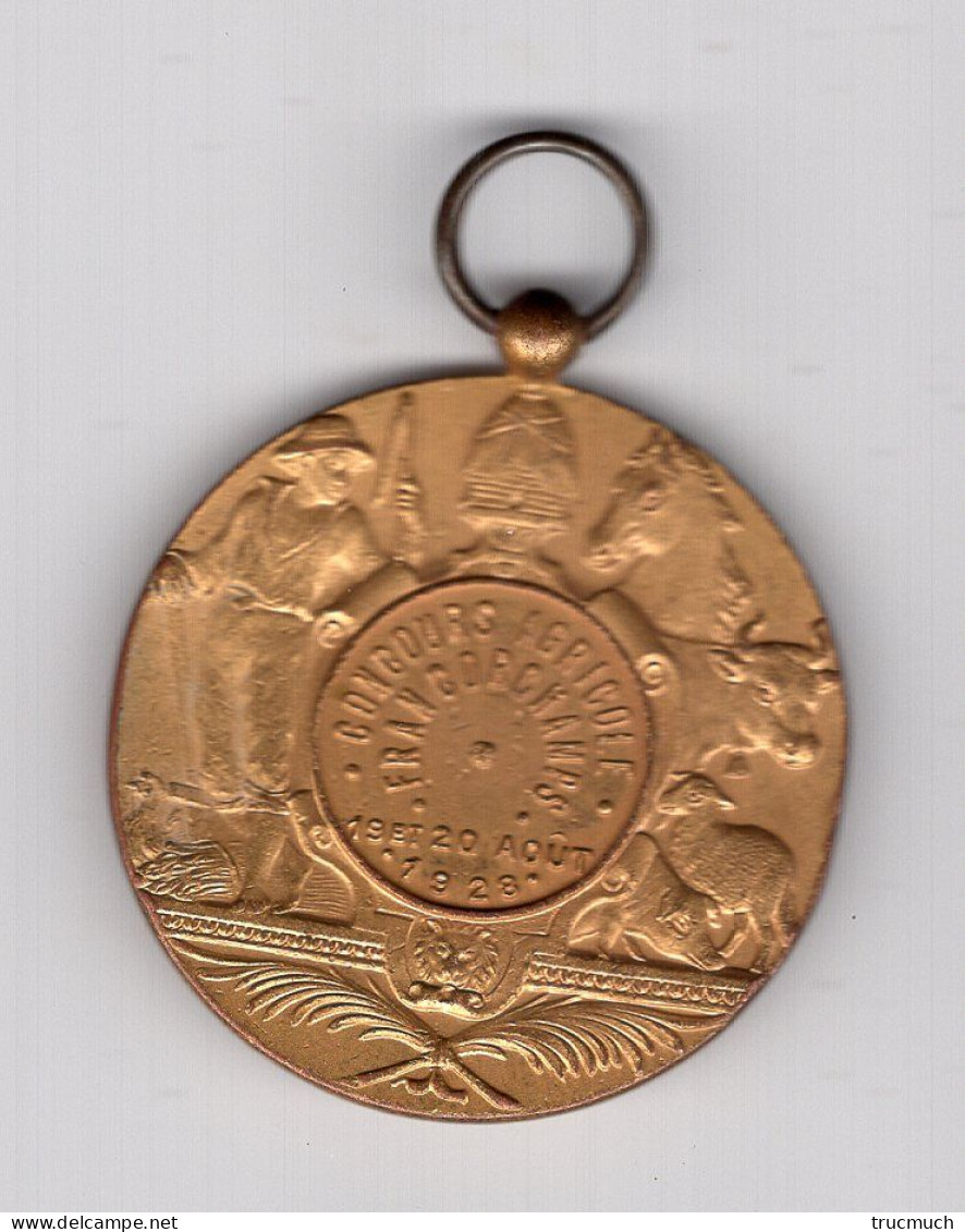 Médaille - FRANCORCHAMPS "Concours Agricole"  19 - 20 Août 1928 - Altri & Non Classificati