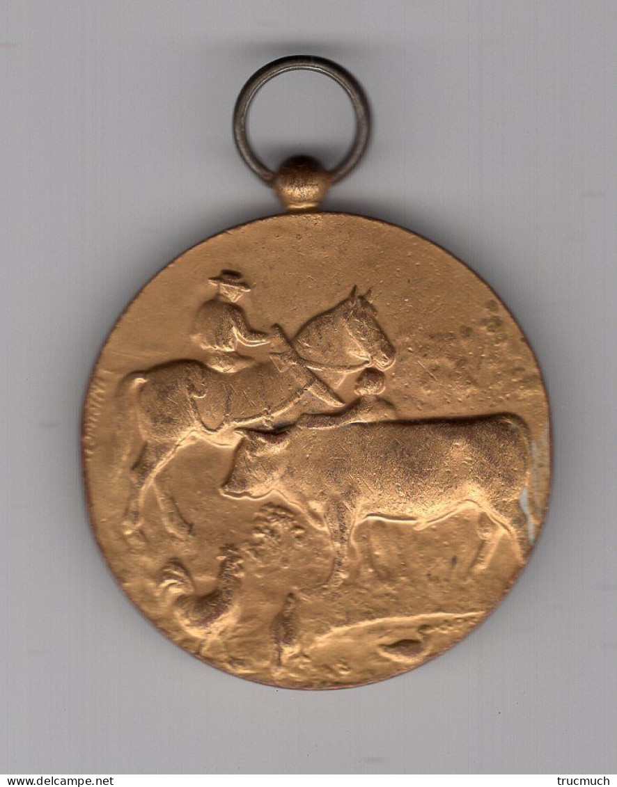 Médaille - FRANCORCHAMPS "Concours Agricole"  19 - 20 Août 1928 - Autres & Non Classés