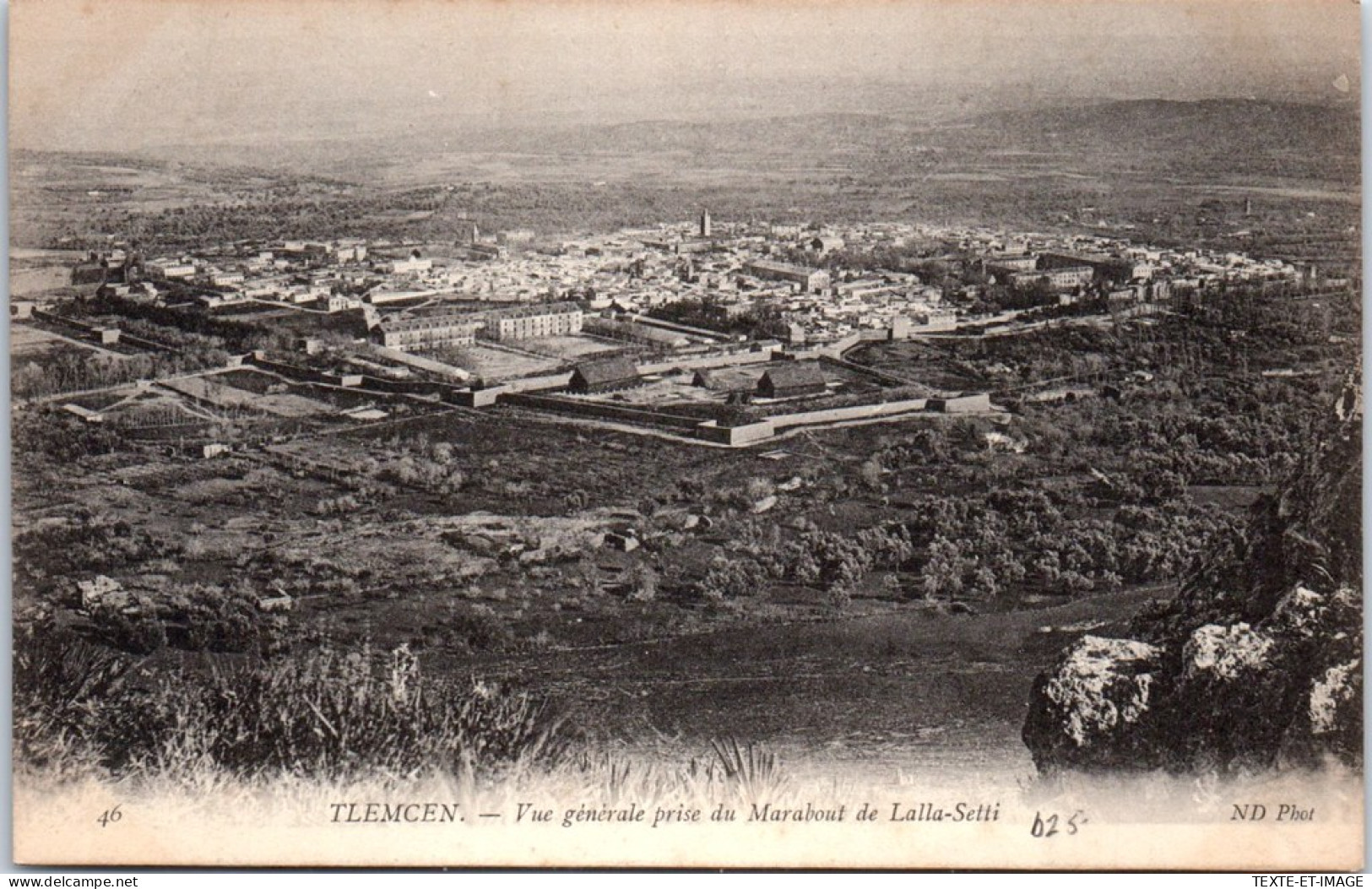 ALGERIE - TLEMCEN - Vue Prise Du Marabout De Lalla Setti  - Tlemcen
