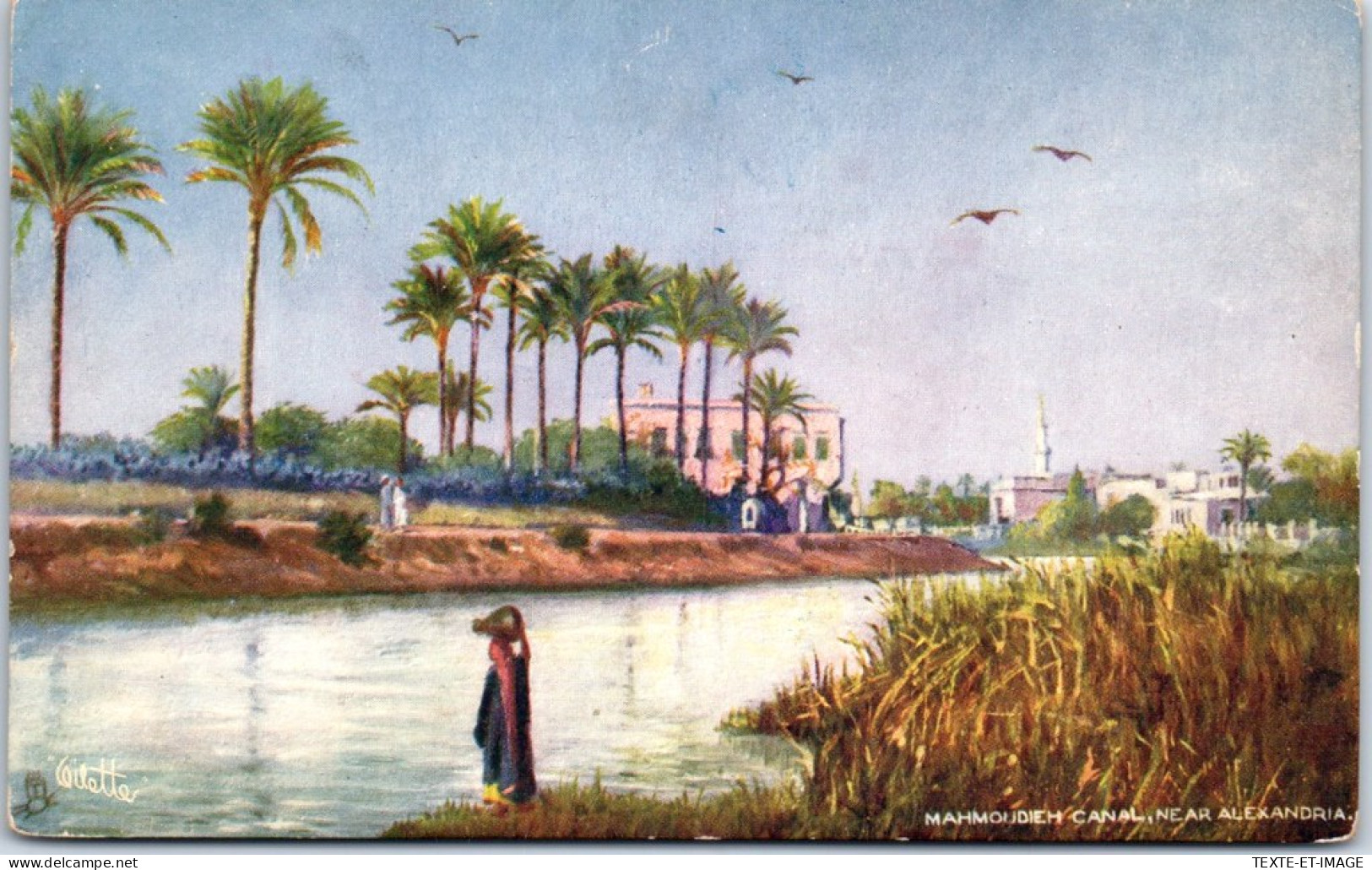 EGYPTE - ALEXANDRIE - Le Canal Mahmoudieh  - Other & Unclassified