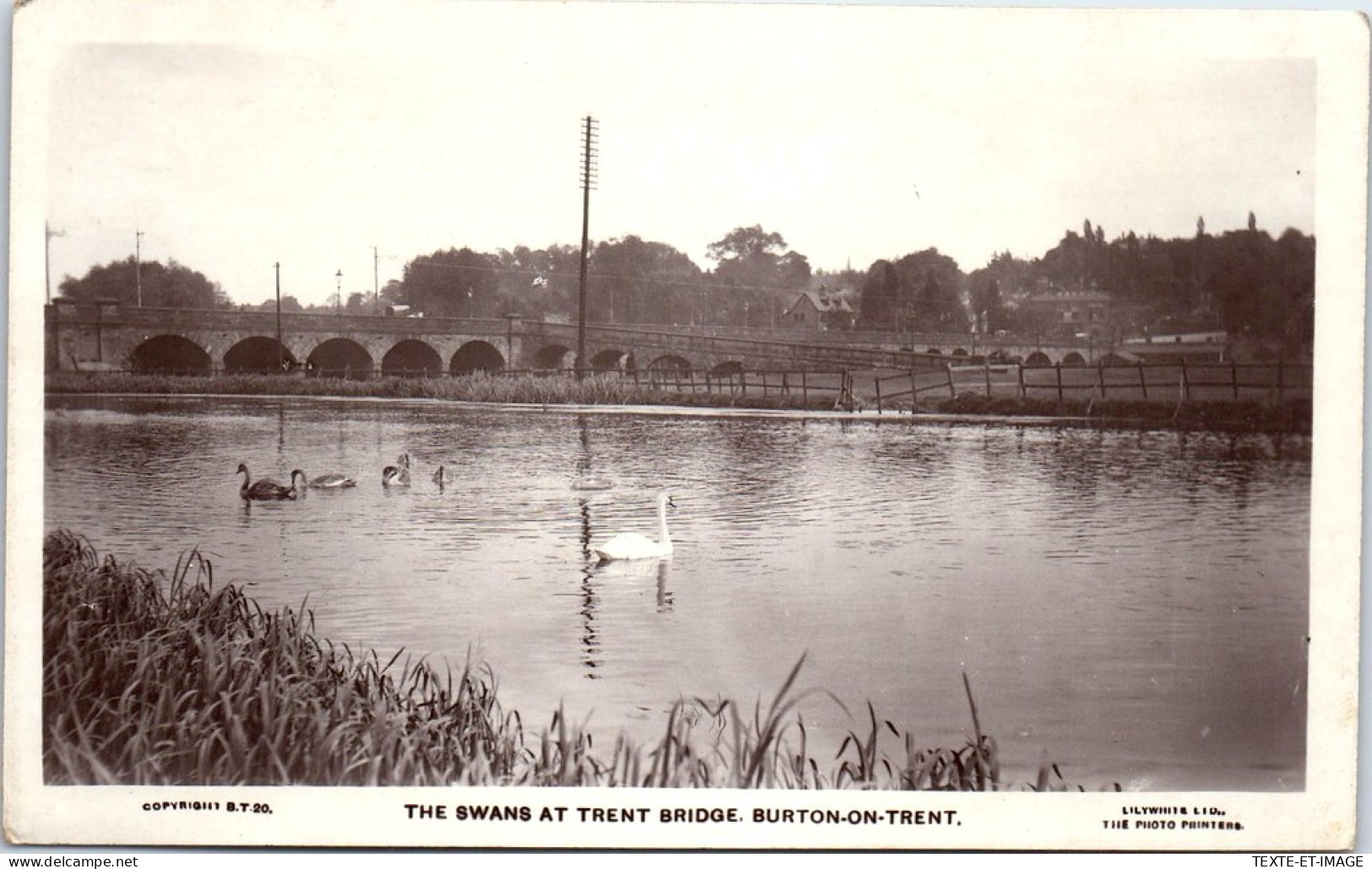 GRANDE BRETAGNE - DERBYSHIRE - Burton On Trent, Swans And Bridge  - Derbyshire