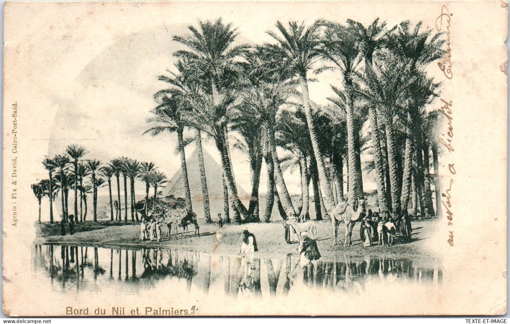 EGYPTE - Bord Du Nil Et Palmiers  - Other & Unclassified