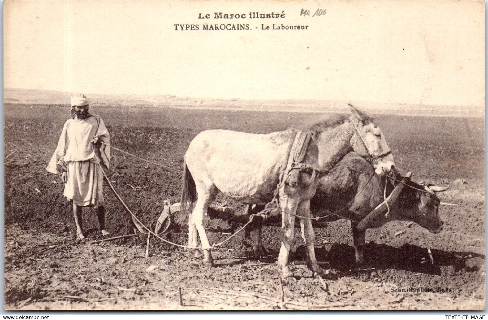 MAROC - Types Marocains, Le Laboureur  - Other & Unclassified