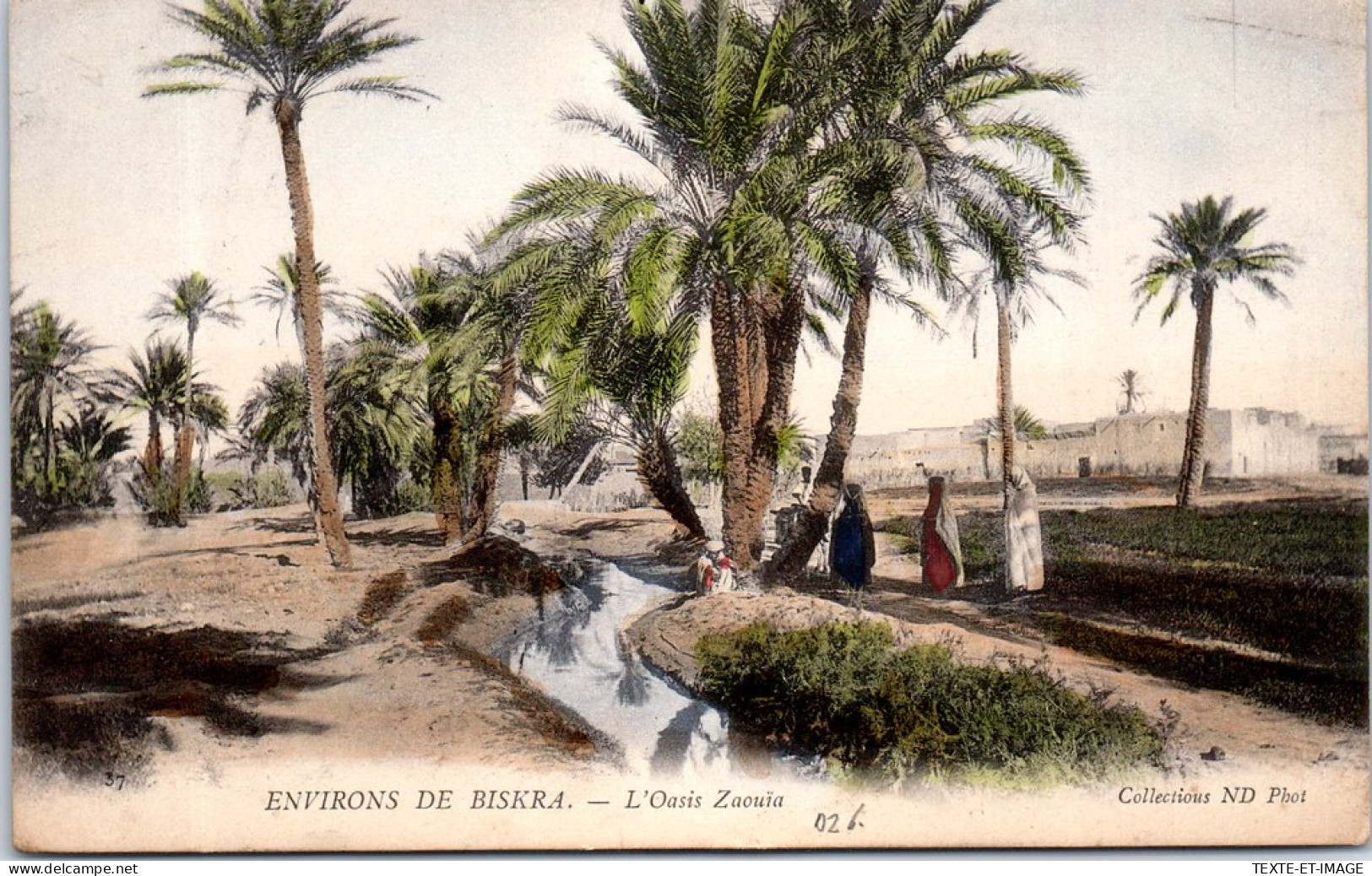 ALGERIE - BISKRA - L'oasis Zaouia  - Biskra