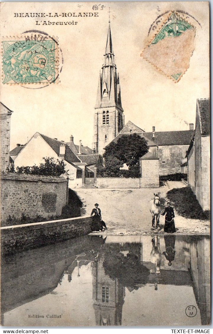 45 BEAUNE LA ROLANDE - Vue De L'abreuvoir. - Beaune-la-Rolande