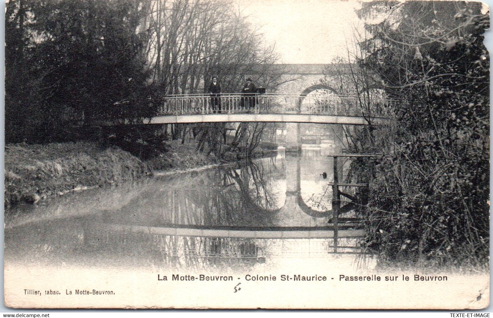 41 LAMOTTE BEUVRON -  Passerelle Sur Le Beuvron, Colonie St Maurice. - Lamotte Beuvron