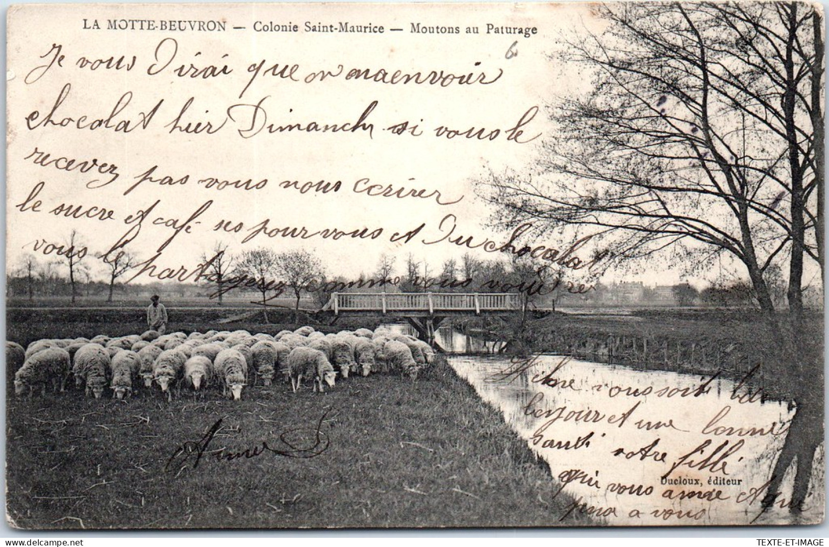 41 LAMOTTE BEUVRON - Colonie St Maurice - Moutons Au Paturage. - Lamotte Beuvron