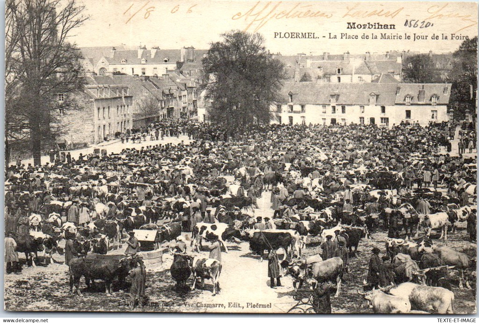 56 PLOERMEL - La Place De La Mairie Un Jour De Foire  - Ploërmel