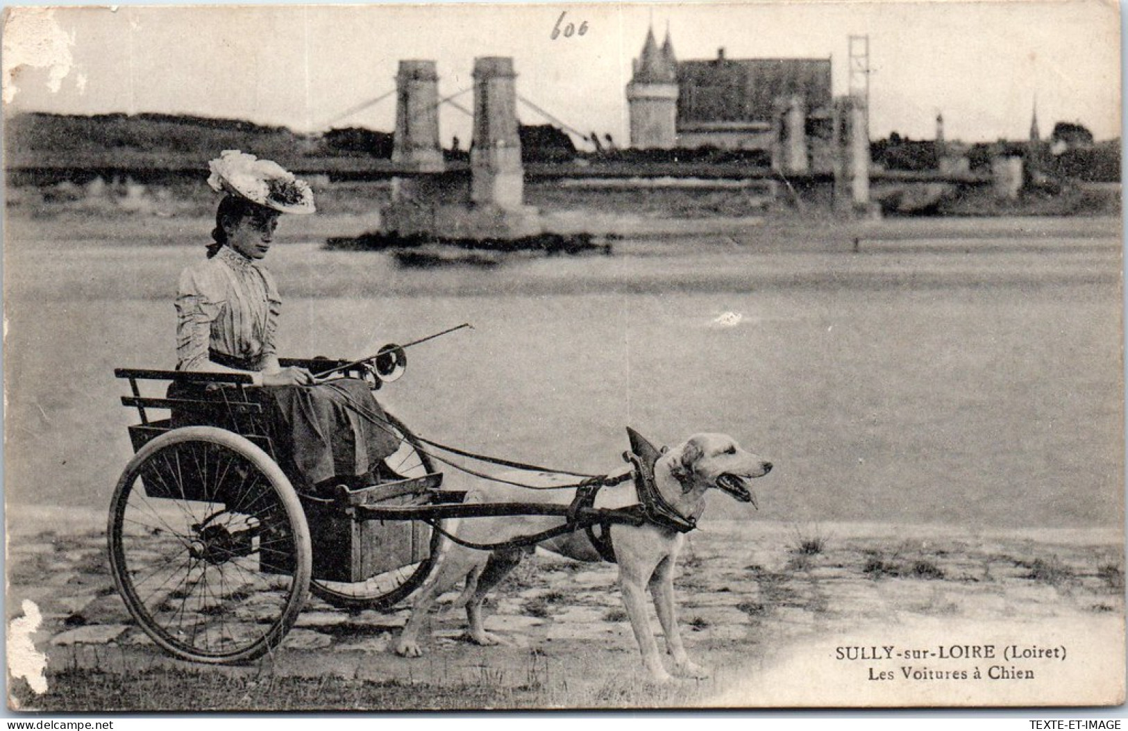 45 SULLY SUR LOIRE - Les Voitures A Chien  - Sully Sur Loire