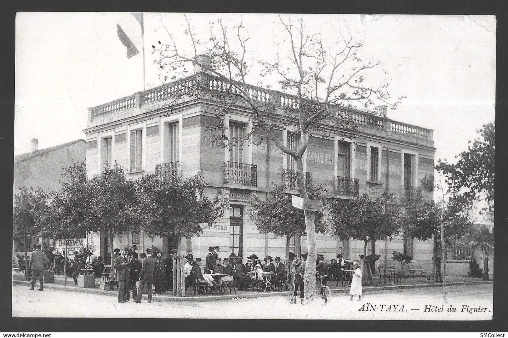 Ain Taya, Hotel Du Figuier (13743) - Sonstige & Ohne Zuordnung