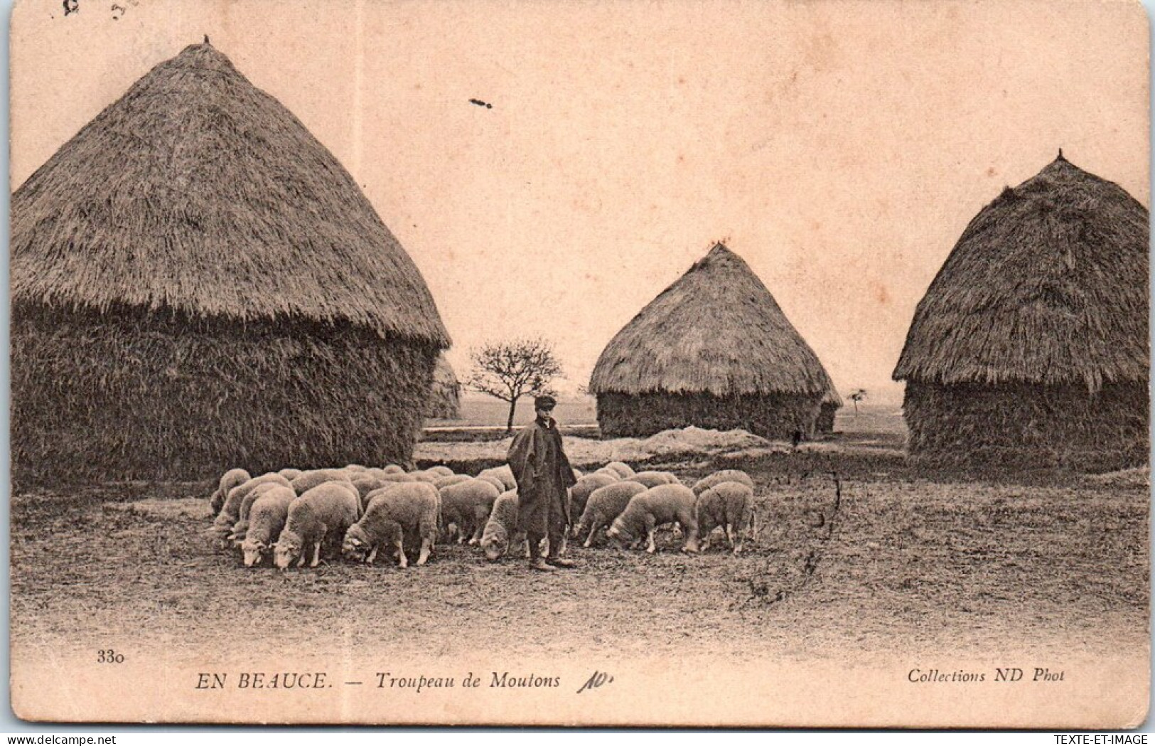 45 - En Beauce - Troupeau De Moutons  - Autres & Non Classés