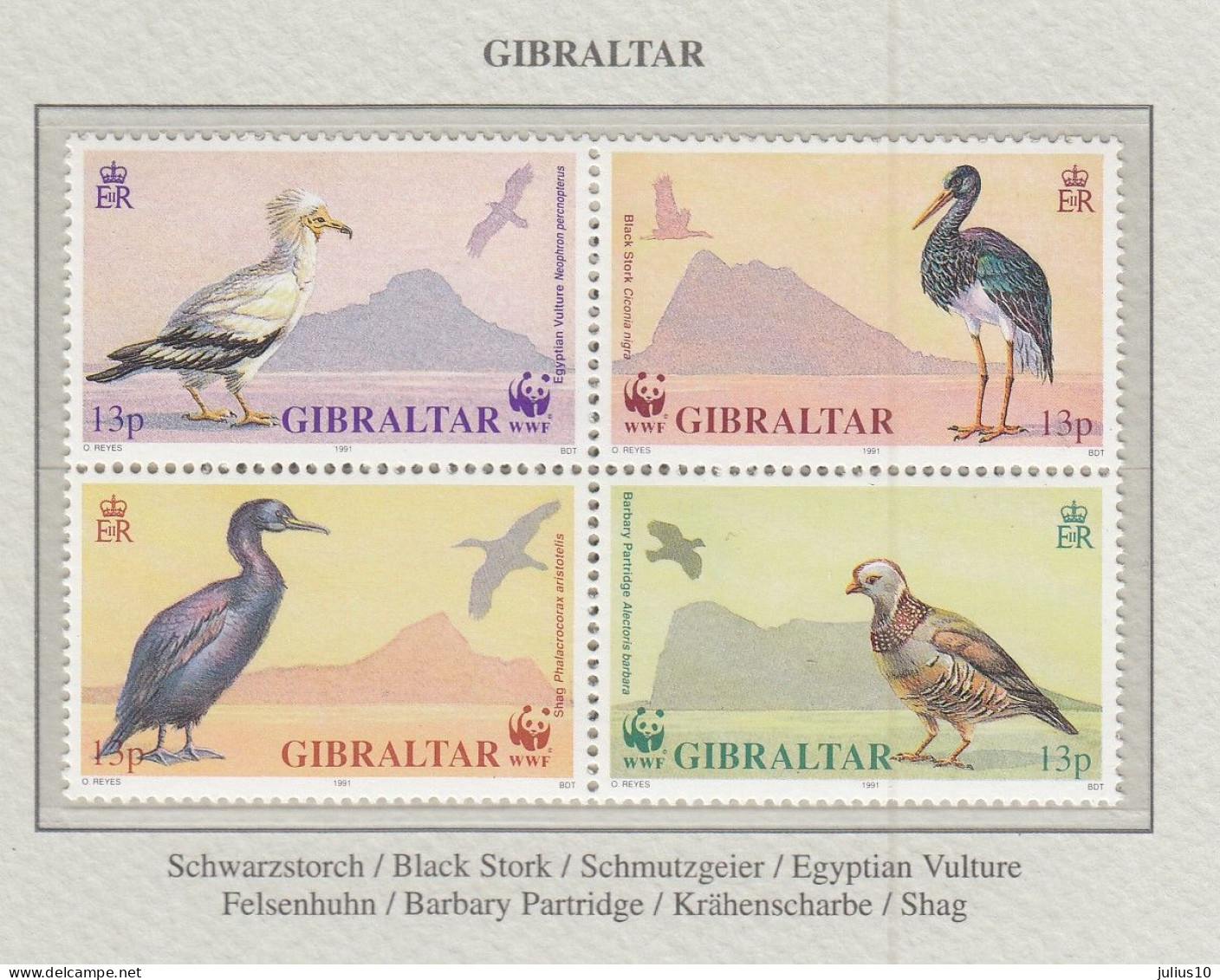 GIBRALTAR 1991 WWF Birds Mi 619-622 MNH(**) Fauna 795 - Sonstige & Ohne Zuordnung