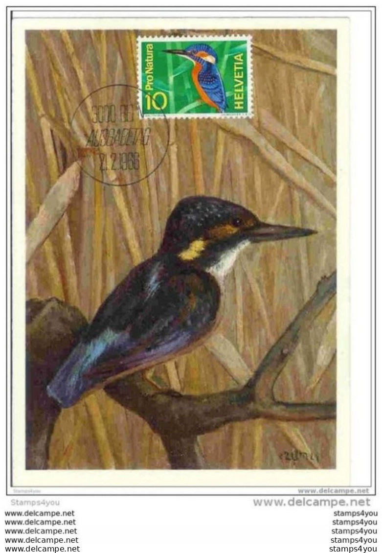 89 - 94 - Superbe Carte Maximale Suisse "oiseau" 1966 - Sonstige & Ohne Zuordnung