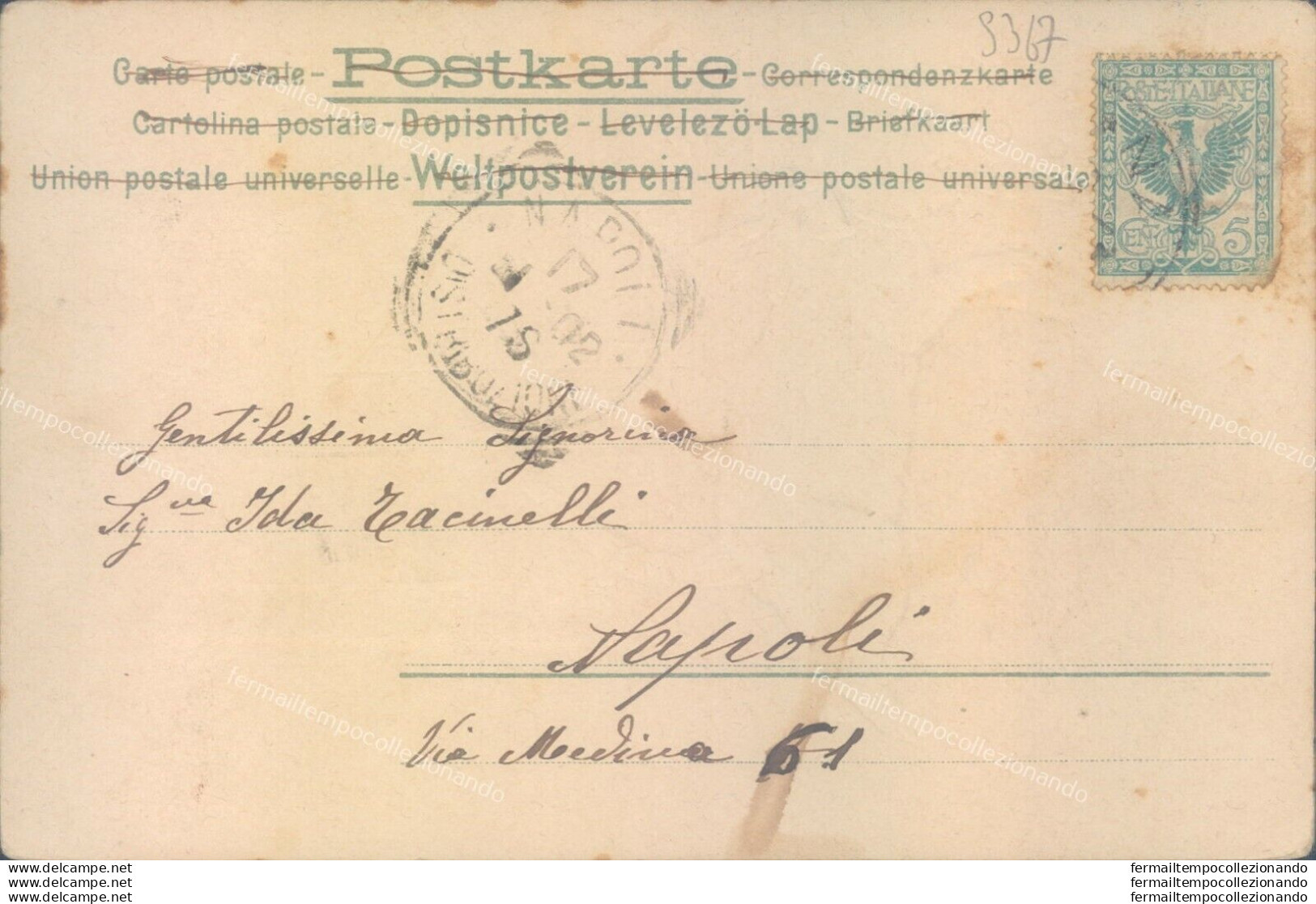 S367 Cartolina A Rilievo Tematica Gatti 1902 - Sonstige & Ohne Zuordnung