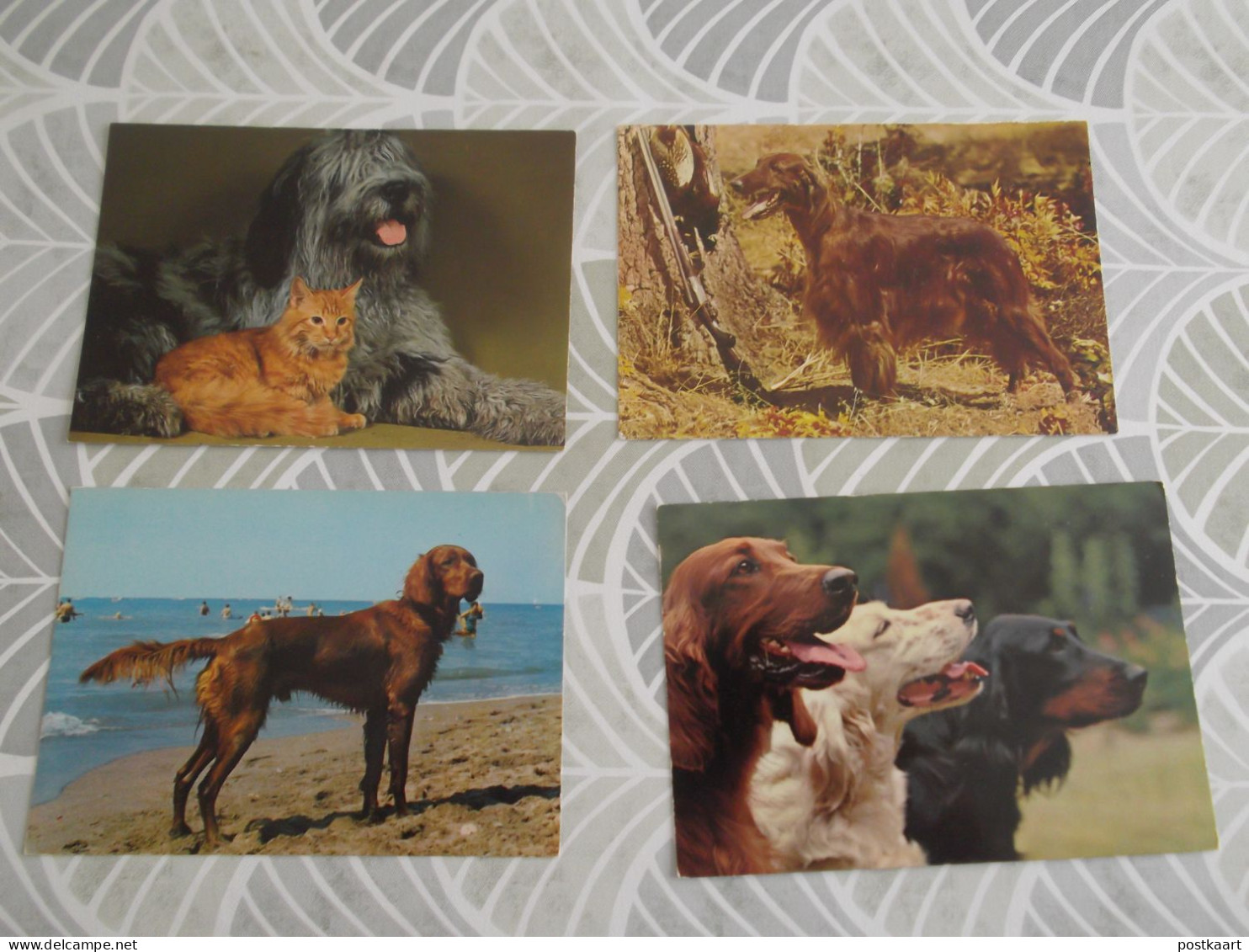 LOT Van 46 Postkaarten HONDEN - 5 - 99 Cartes