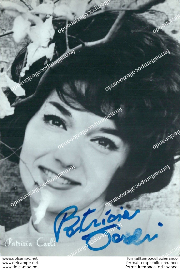 Bn361 Autografo Su Cartolina Patrizia Carli   Cantante Personaggi Famosi - Other & Unclassified