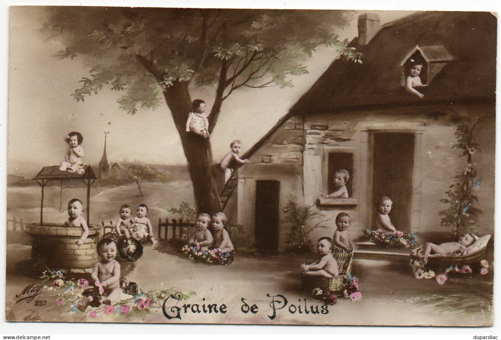 BEBES Multiples : Lot De 12 Cartes Postales Différentes, Humour (graines De Poilus, Canne à Papa, Dans Les Choux, ...) - Humorous Cards