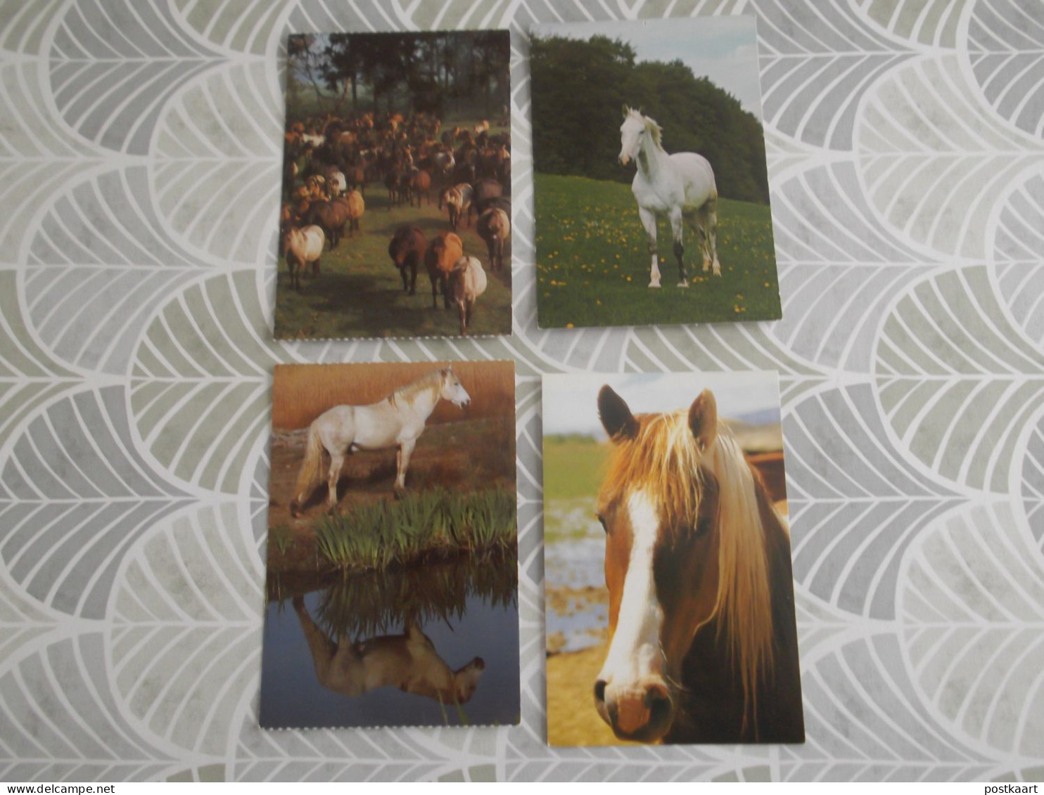 LOT Van 191 Postkaarten DIEREN ALGEMEEN - 100 - 499 Postales