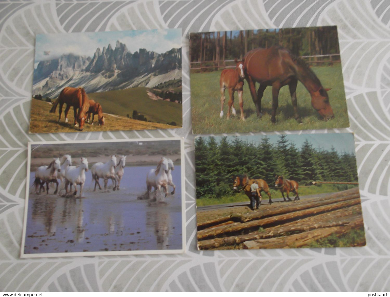 LOT Van 191 Postkaarten DIEREN ALGEMEEN - 100 - 499 Karten
