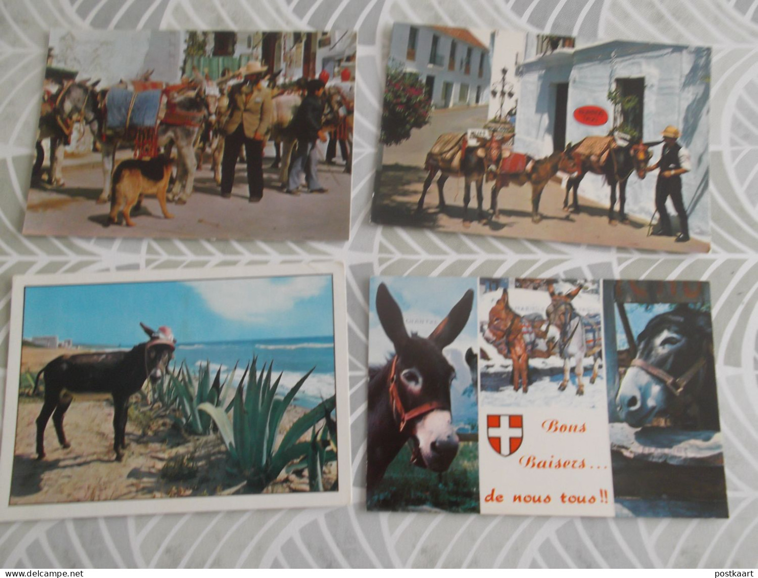 LOT Van 191 Postkaarten DIEREN ALGEMEEN - 100 - 499 Cartes