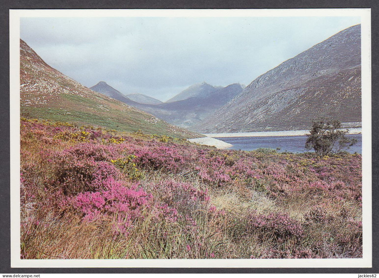 111289/ Silent Valley In The Mourne Mountains - Down