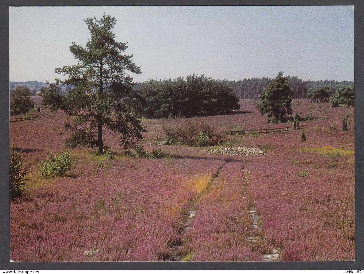 106073/ LÜNEBURGER HEIDE - Lüneburger Heide