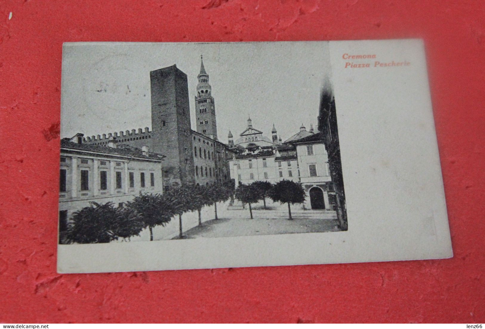 Cremona Piazza Pescherie 1918 Ed. Pezzi - Cremona