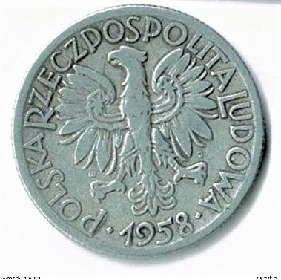 POLOGNE / 5 ZLOTYS / 1958 / TB + - Poland