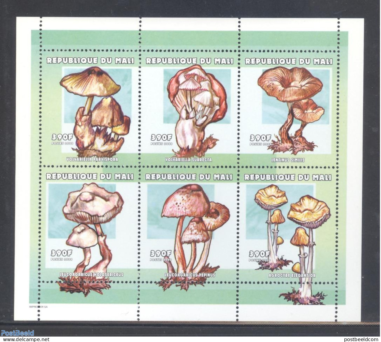 Mali 2000 Mushrooms 6v M/s (6x390F), Mint NH, Nature - Mushrooms - Funghi