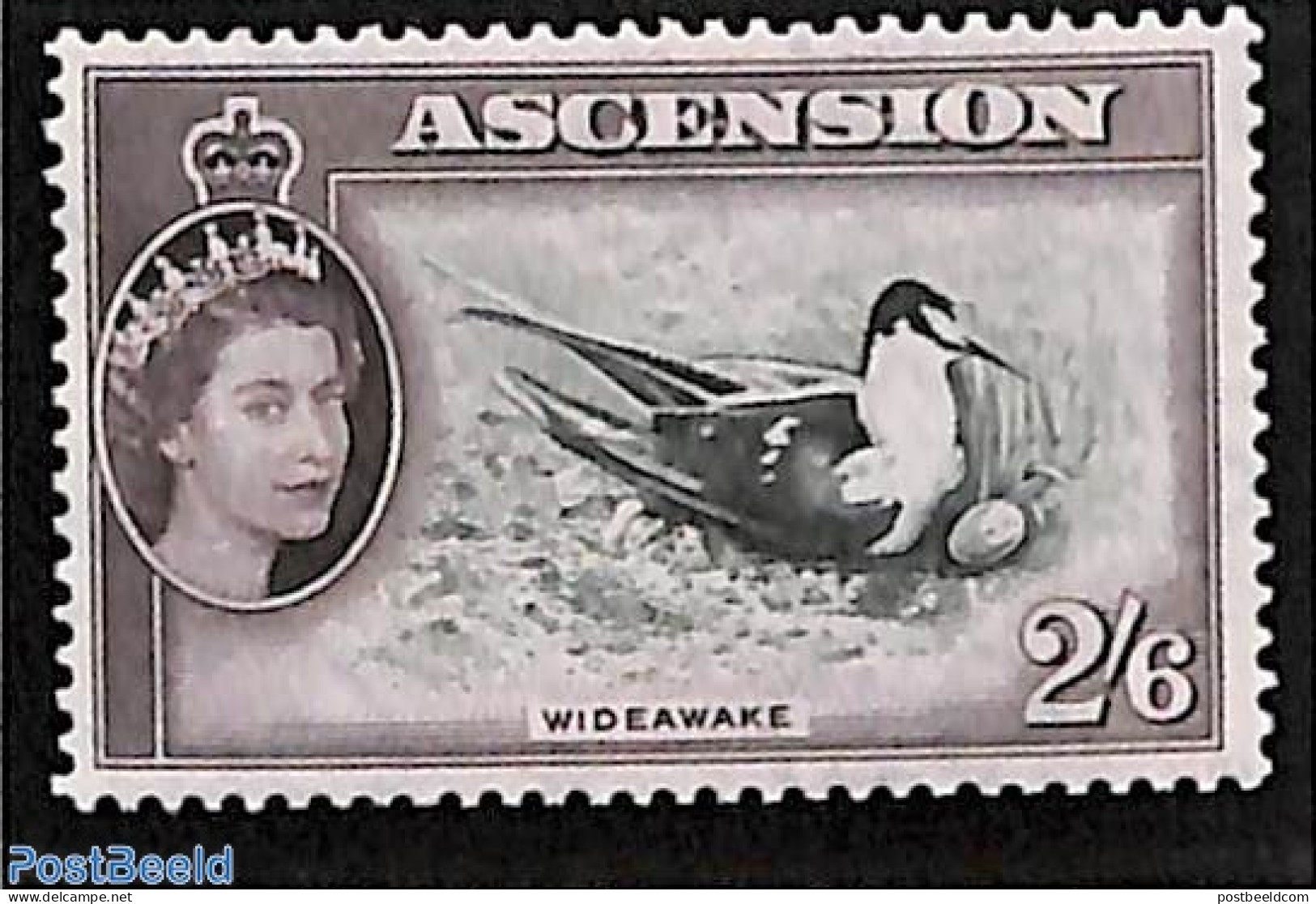 Ascension 1956 2/6Sh, Wideawake, Stamp Out Of Set, Unused (hinged), Nature - Birds - Ascension