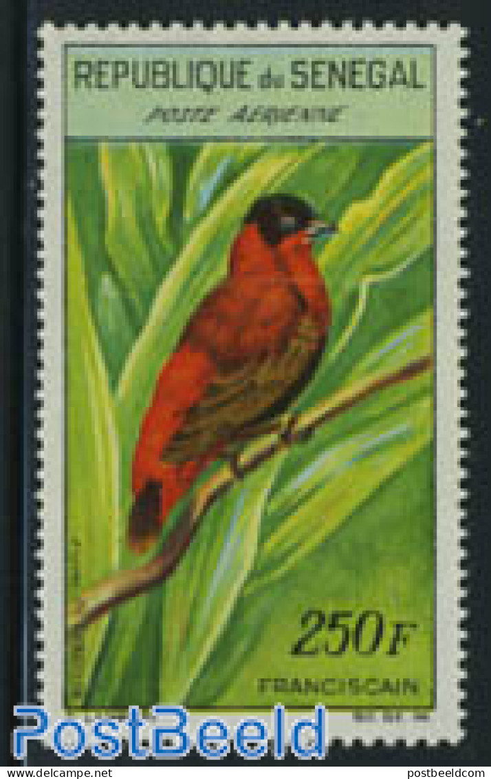 Senegal 1963 250F, Stamp Out Of Set, Mint NH, Nature - Birds - Senegal (1960-...)