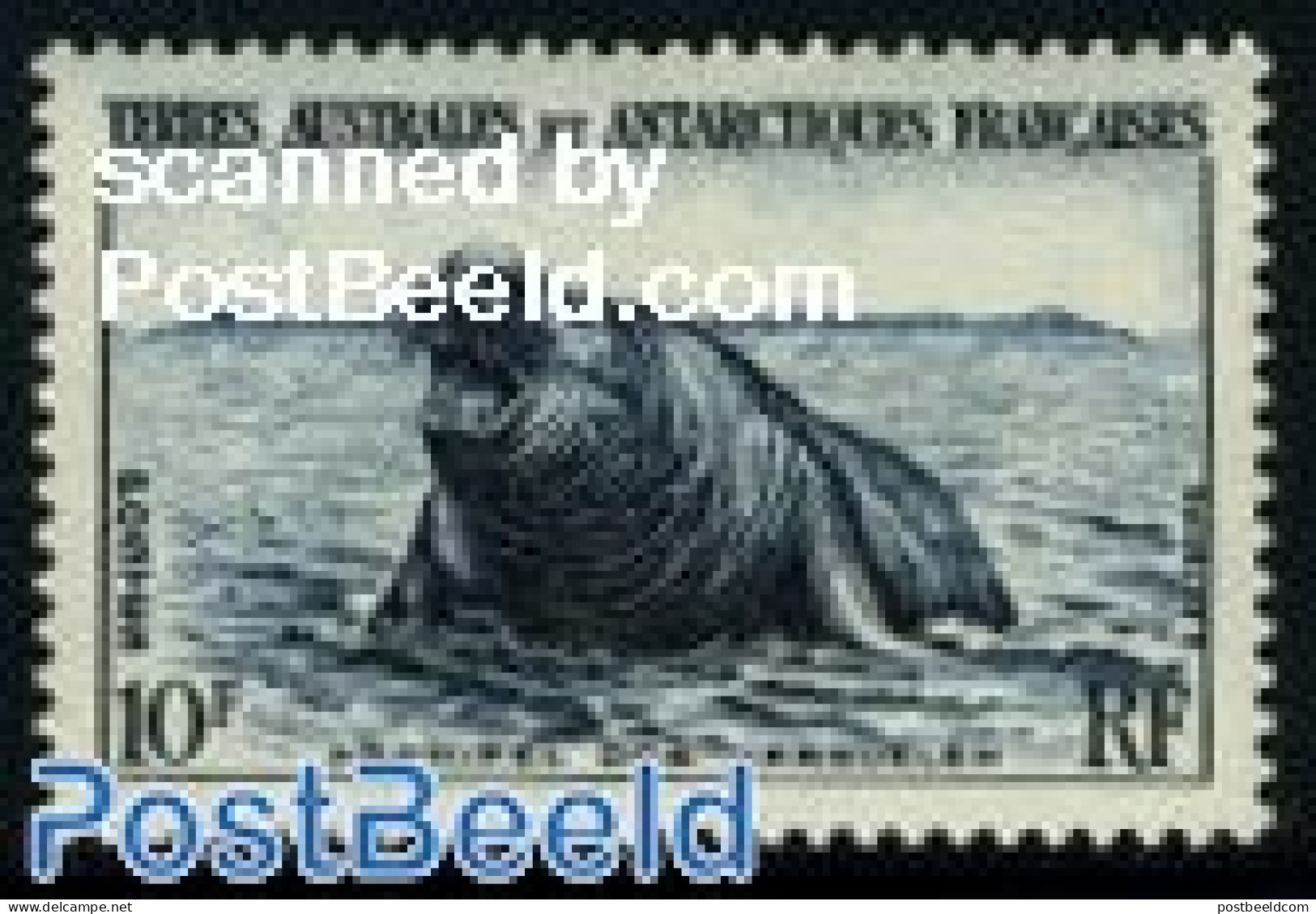 French Antarctic Territory 1956 10f, Stamp Out Of Set, Mint NH, Nature - Sea Mammals - Ungebraucht