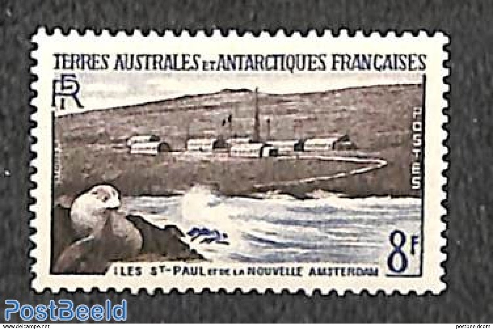 French Antarctic Territory 1956 8f, Stamp Out Of Set, Mint NH, Nature - Science - Sea Mammals - The Arctic & Antarctica - Nuovi