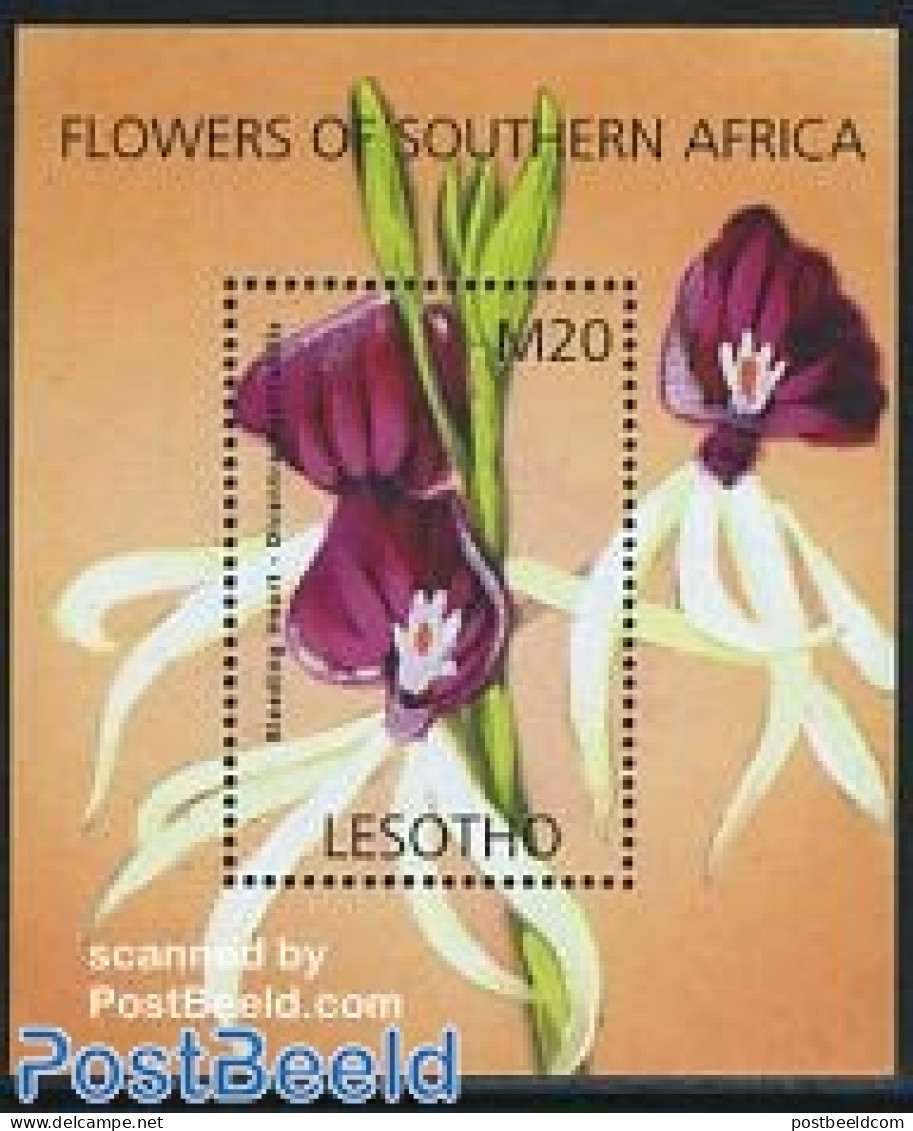 Lesotho 2002 South African Flowers S/s, Mint NH, Nature - Flowers & Plants - Lesotho (1966-...)