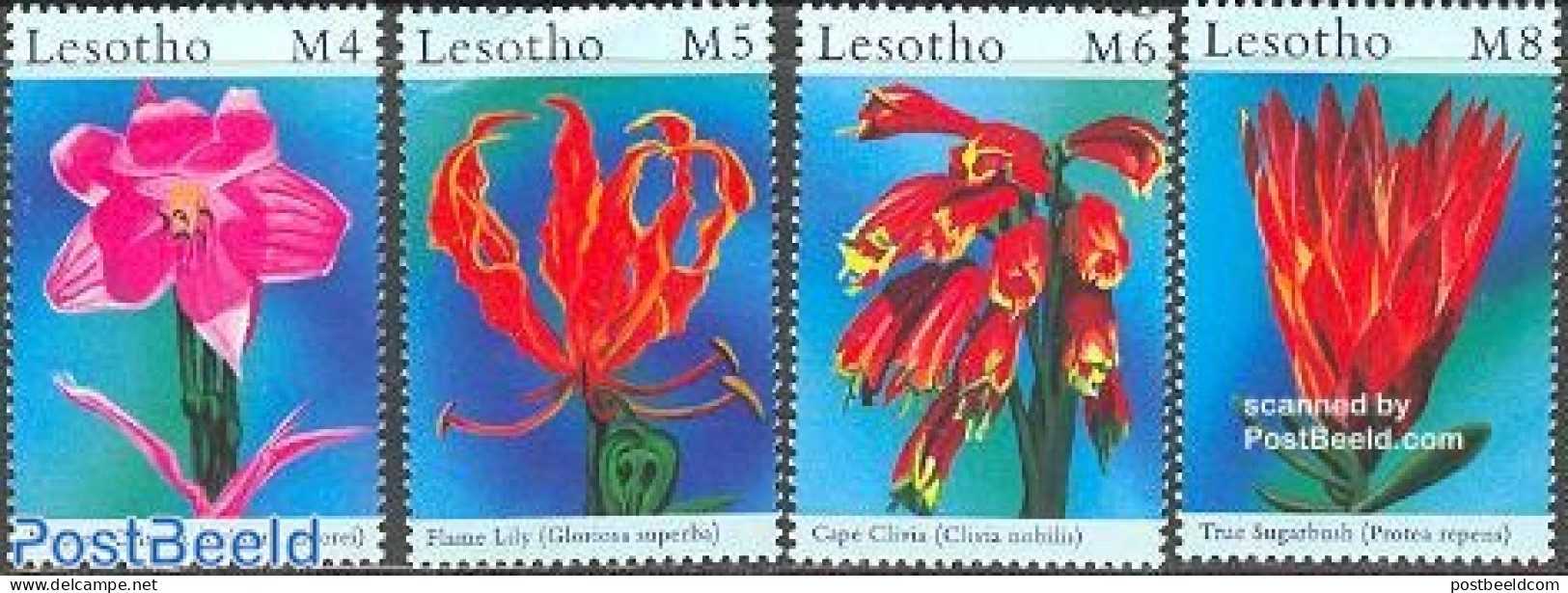 Lesotho 2000 Flowers 4v, Mint NH, Nature - Flowers & Plants - Lesotho (1966-...)