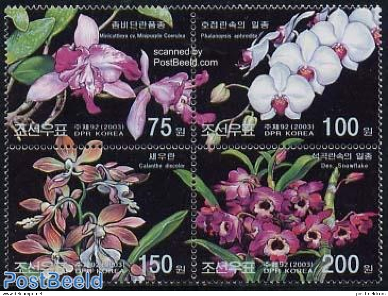 Korea, North 2003 Orchids 4v [+], Mint NH, Nature - Flowers & Plants - Orchids - Korea, North