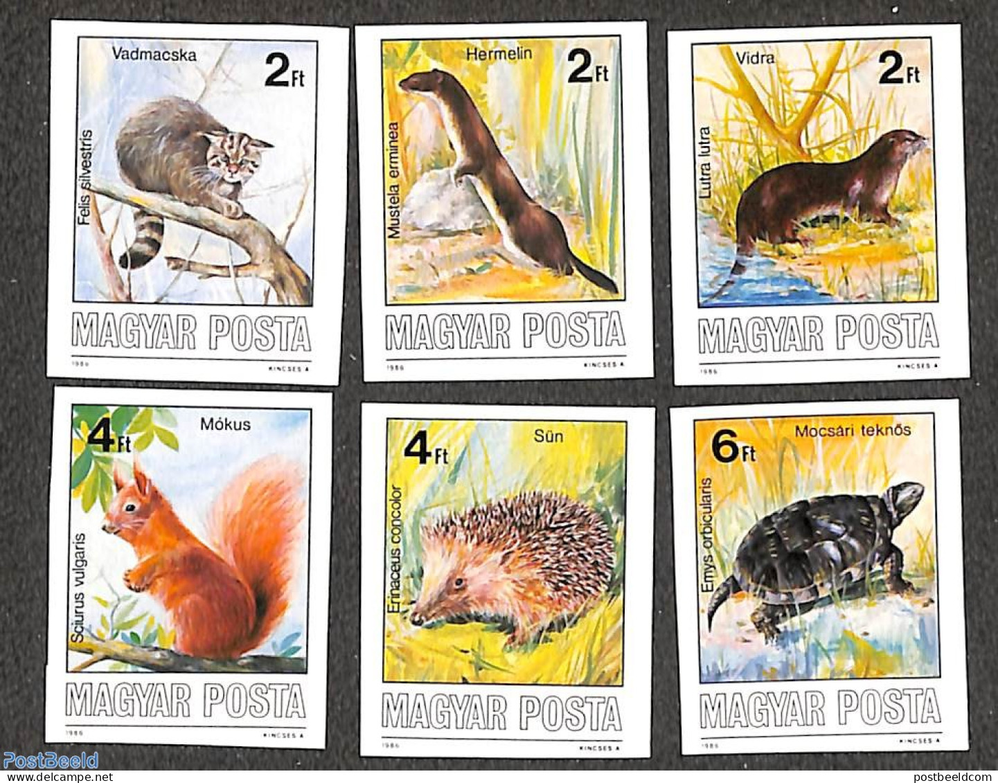 Hungary 1986 Wild Animals 6v Imperforated, Mint NH, Nature - Animals (others & Mixed) - Cats - Hedgehog - Reptiles - T.. - Nuovi