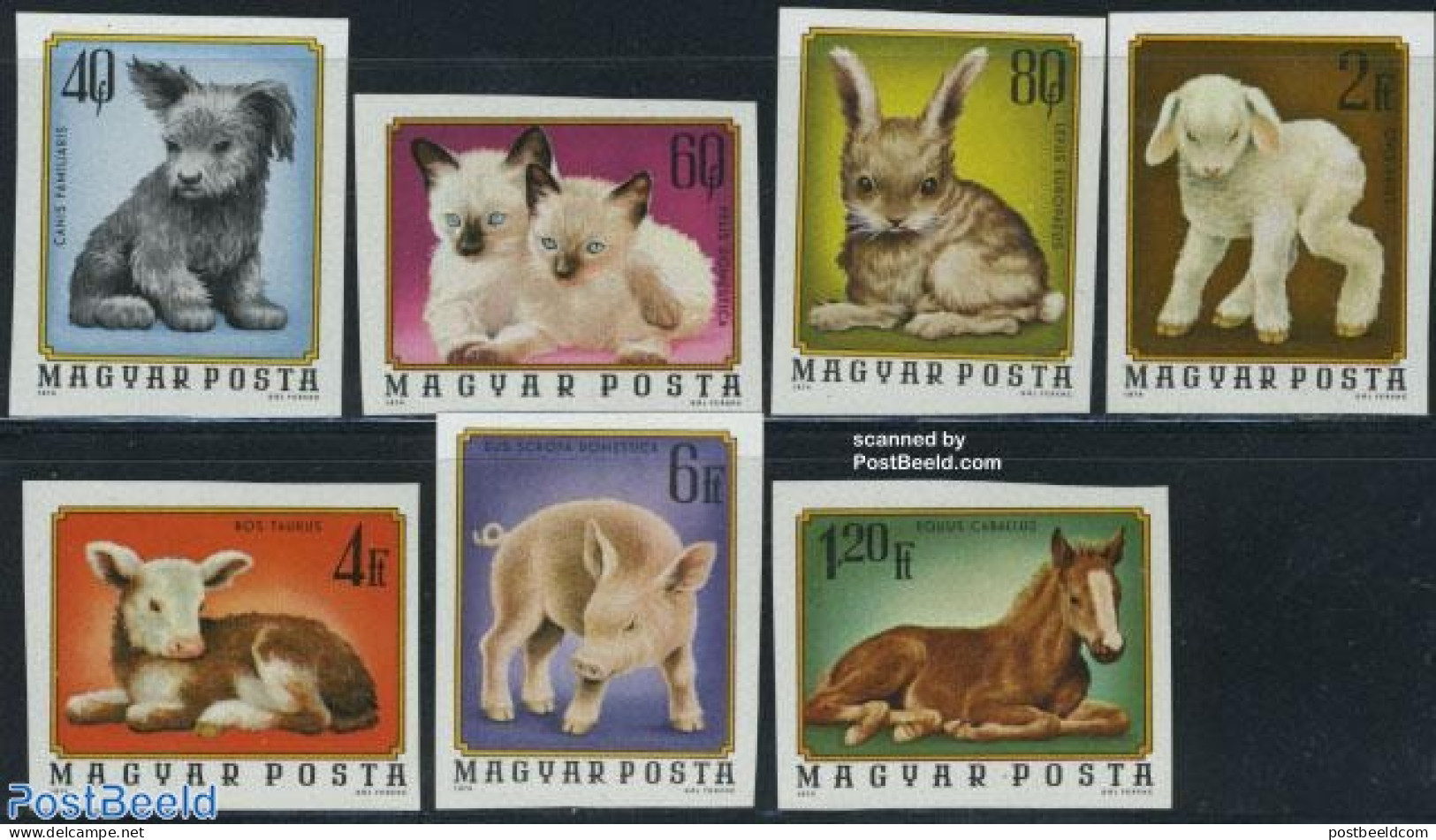 Hungary 1974 Young Animals 7v, Imperforated, Mint NH, Nature - Animals (others & Mixed) - Cats - Cattle - Dogs - Horse.. - Nuevos